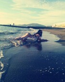 Анкета проститутки Алиса - метро Тверской, возраст - 21